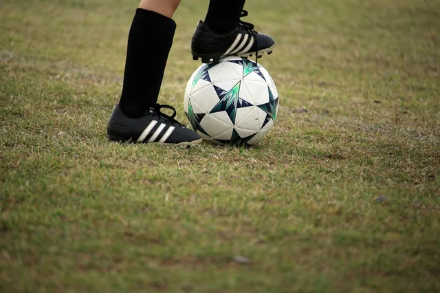 奇异果体育 · 体育栏目服务配图（示意）